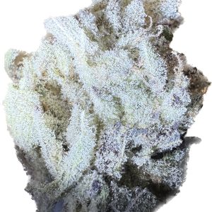 Platinum Chimera