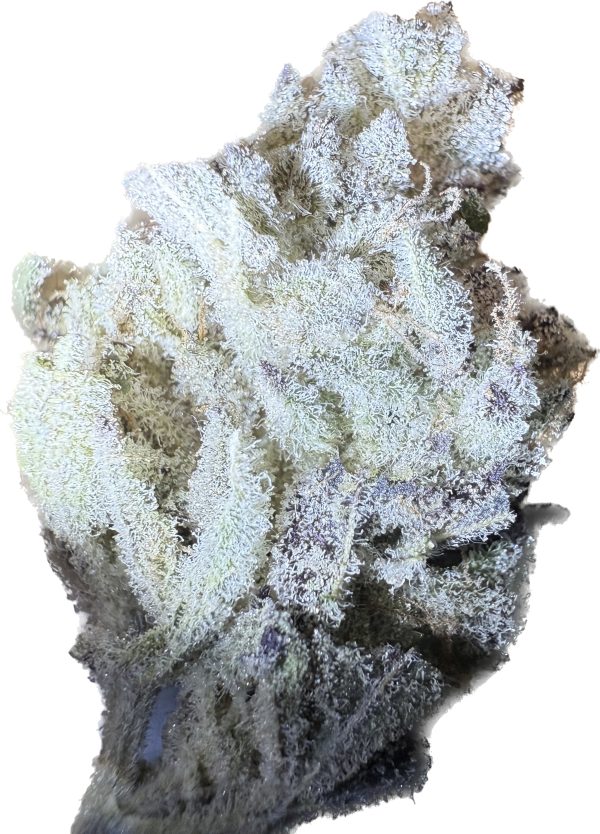 Platinum Chimera