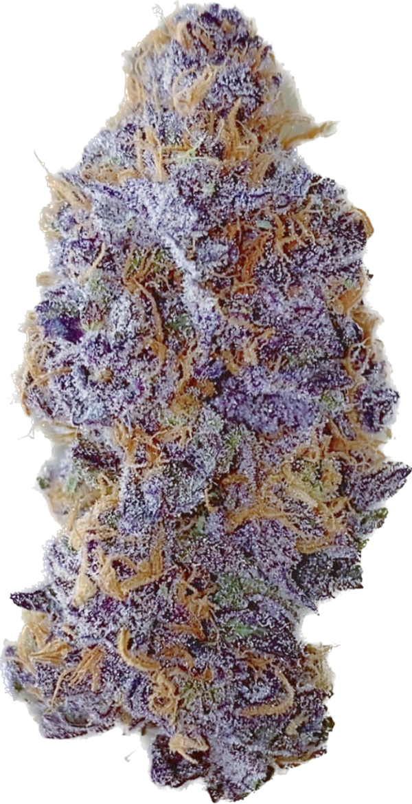 Blue Monster