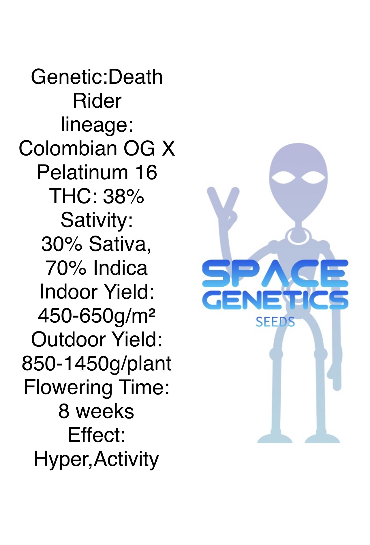 Death Rider - Image 3